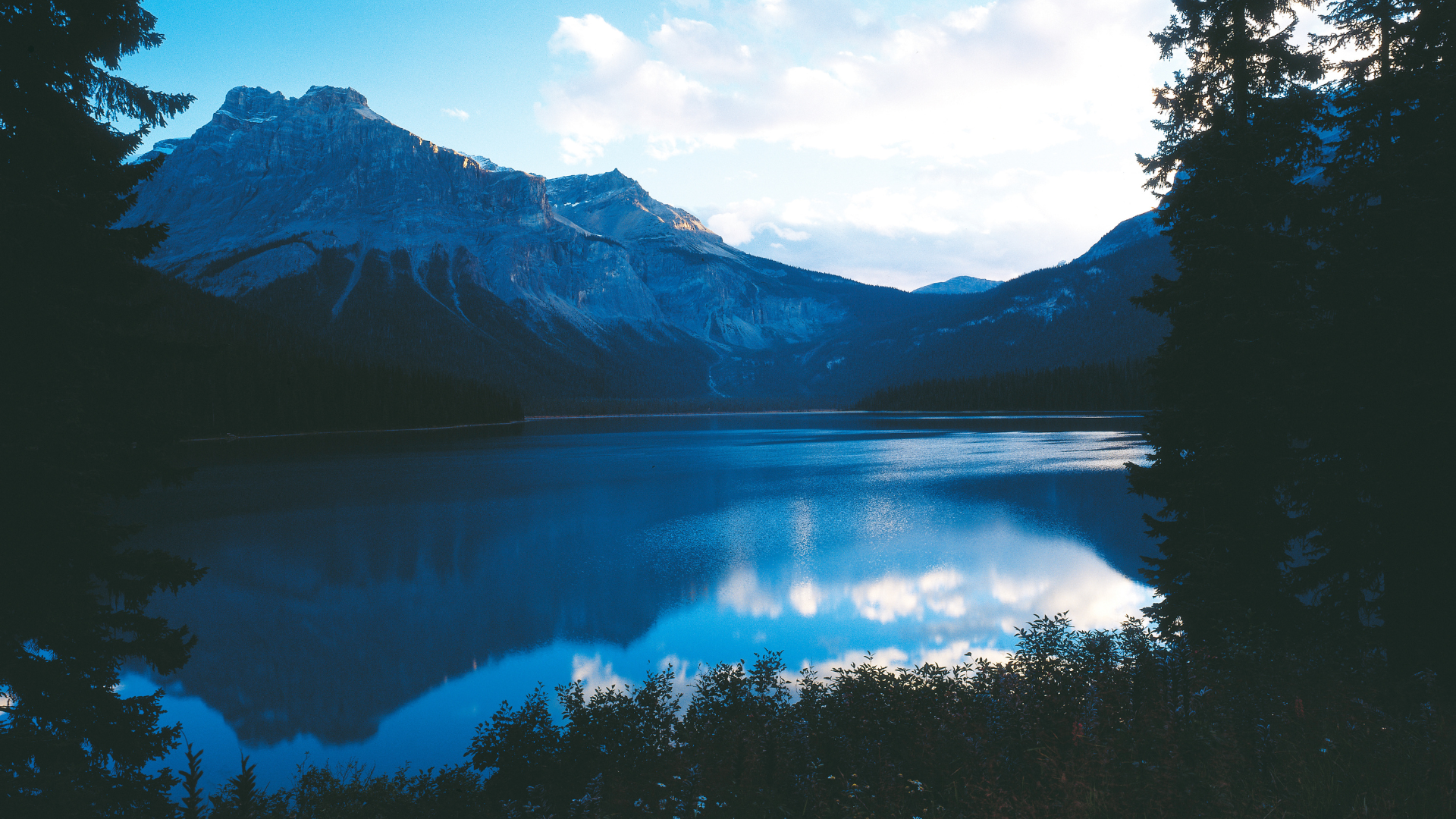 Nature View